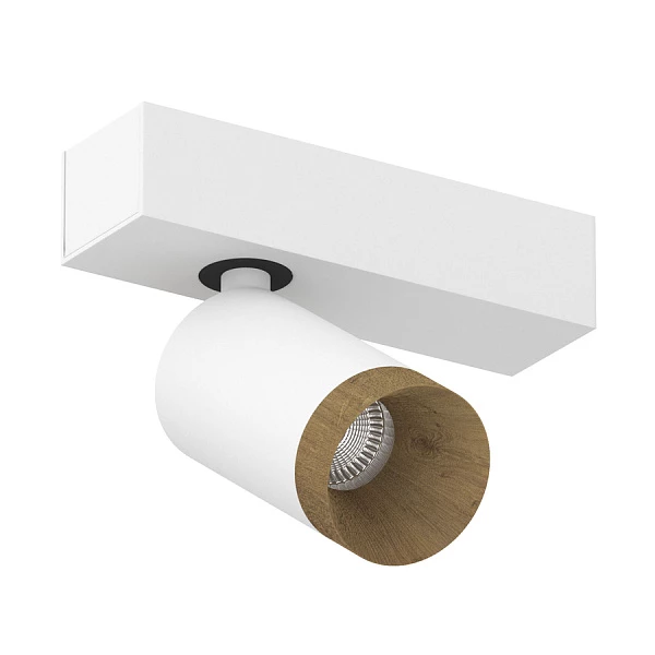 SAGITONY E S60 Wooden